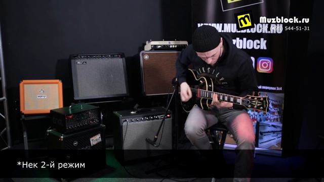 Fokin Berserk - Илья Фокин и Степан Обухов, звукосниматели Фокина