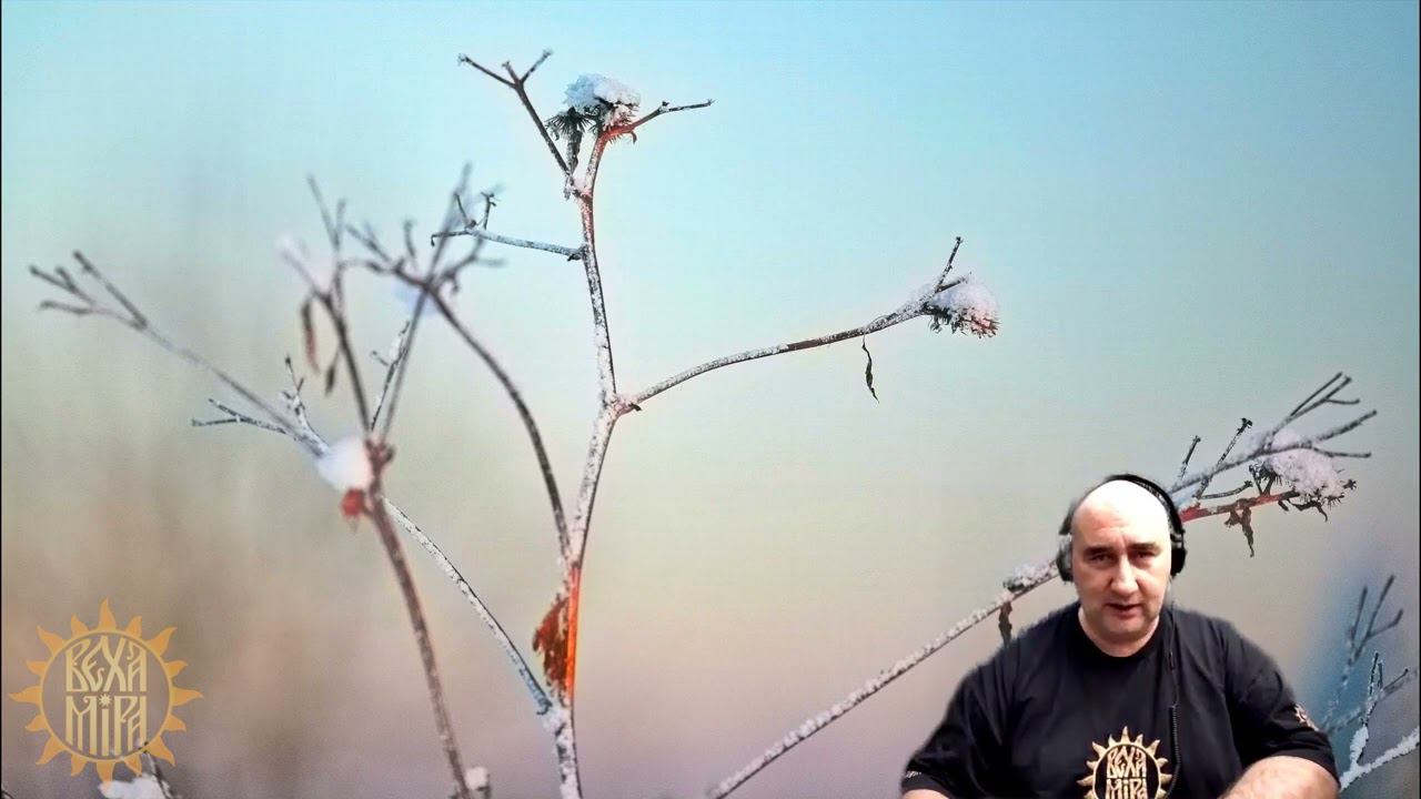 Монетизация отношений. смотреть онлайн