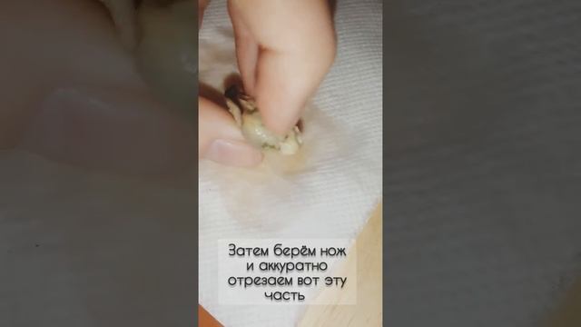 Как чистить мидии? смотреть онлайн