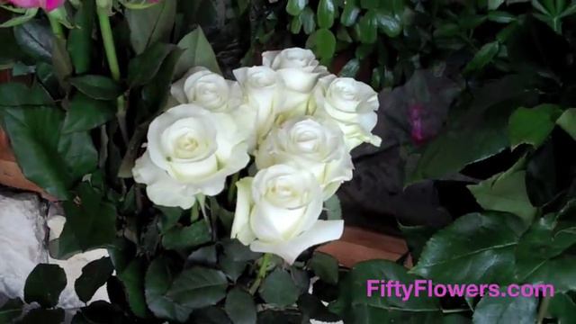 Roses from Colombia for Weddings and all Events смотреть онлайн