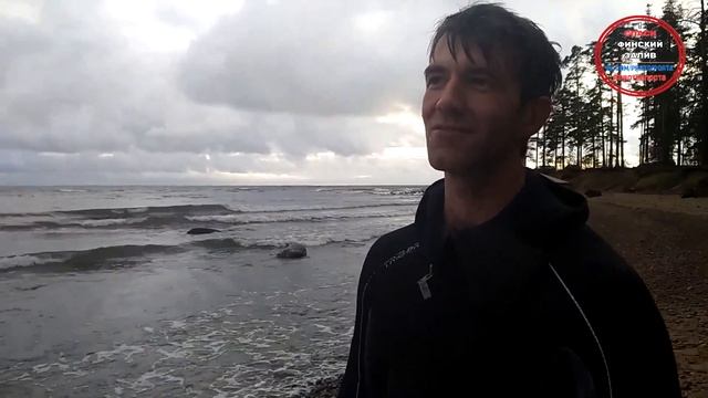 Розовый фламинго смысла #противпорта смотреть онлайн