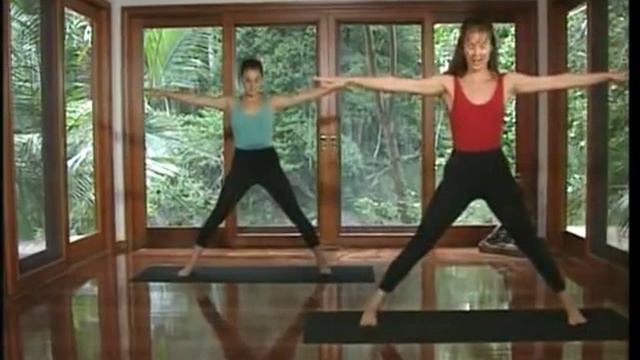 йога основной курс  Louisa Sear  Rachel Zinman