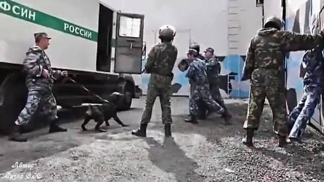 Блатняк смотреть онлайн