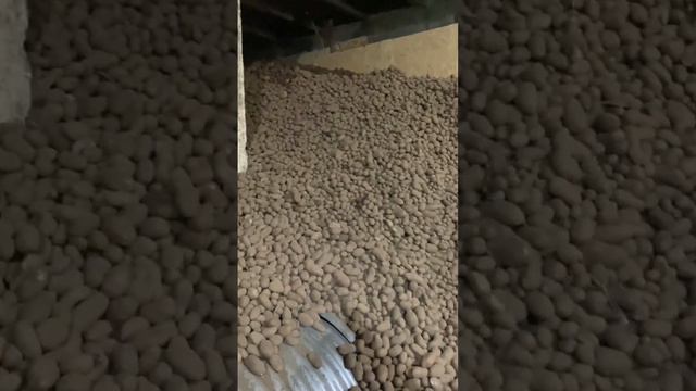 23.03.23 #сельскоехозяйство #андрейфермер40 #трактористы #renovation #кфх #construction #фермер смотреть онлайн