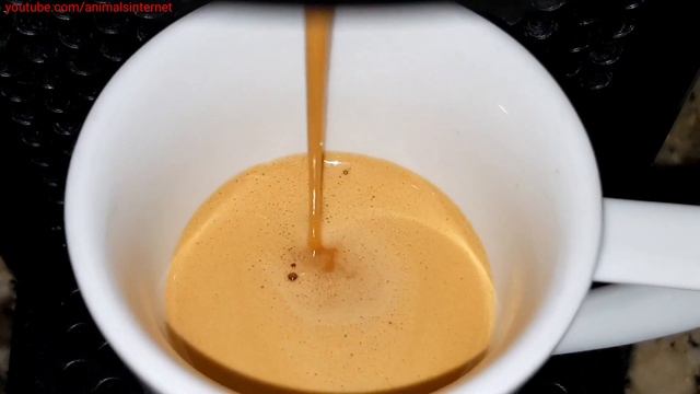 Nespresso Delonghi Inissia Coffee Machine: how to reset to factory settings смотреть онлайн