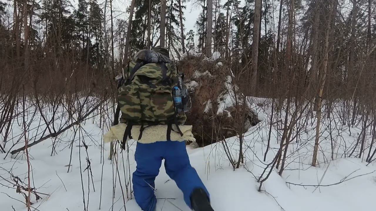 Одинокий путник; следы КАБАНОВ, ЛОСЕЙ, СОЛОНЕЦ, сбор лапника для домашней белки. Выживание смотреть онлайн