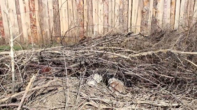 ул.Промышленная. Забор вдоль СНТ 