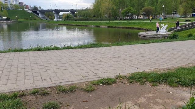 Turkish People \ Что с ними НЕ ТАК?! \ Обзор влогов канала Туркиш Пипл смотреть онлайн