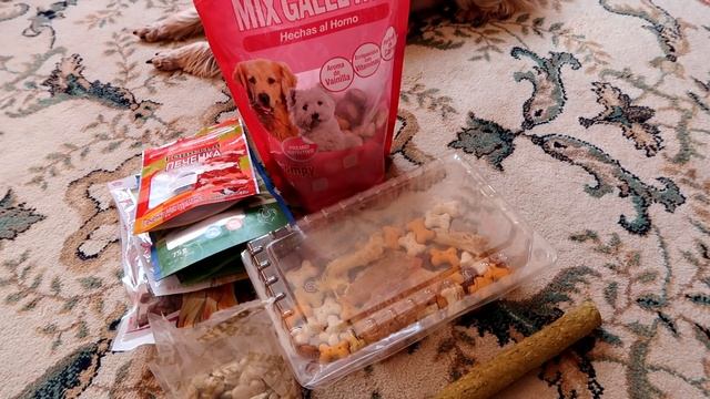 Уход за Йоркширским терьером! Содержание, уход и кормление! смотреть онлайн