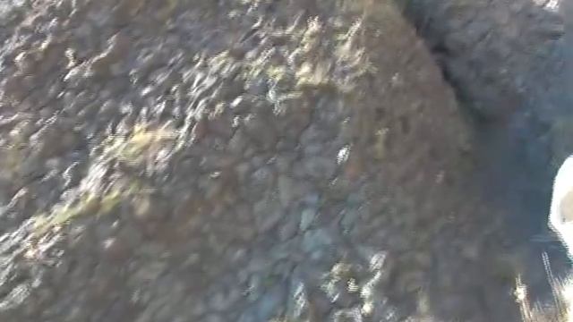 Духовный коучинг как групповое единство смотреть онлайн