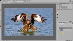 Как усилить цвета с помощью режимов наложения