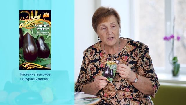 Как вырастить тыкву | Сами с усами смотреть онлайн