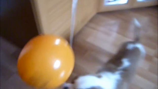 Ричику 1 год смотреть онлайн