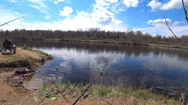 р.Луга. Сабск. Сырть на фидер смотреть онлайн