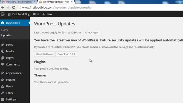 How to Update WordPress CMS смотреть онлайн