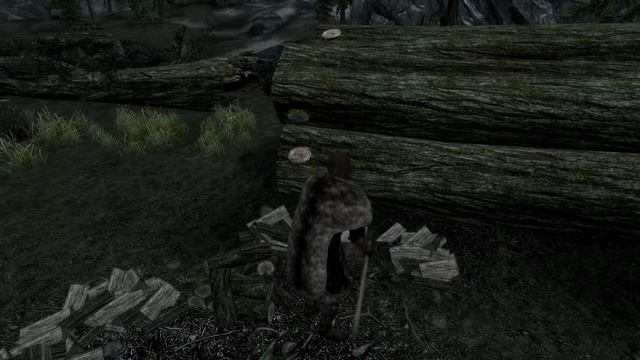 Lets Play Skyrim With Mods(PC): Sven