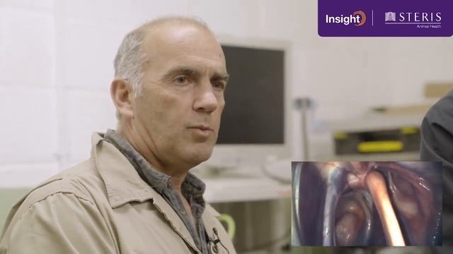 Equine Upper Airway Examination using the Endo i® Wireless Veterinary Endoscope (UK) смотреть онлайн