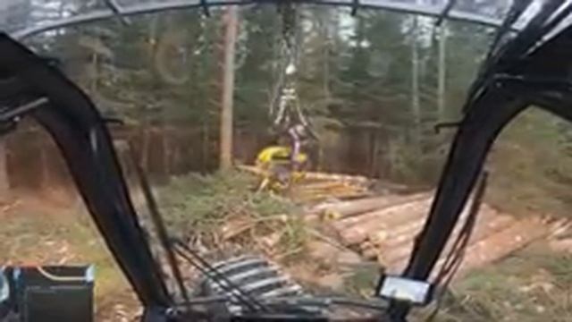 500 m3/ha puuta ja tukin katkonnan tarkastelua. (Lue videon lisätiedot.) Ponsse Scorpion K H7 AC FC смотреть онлайн