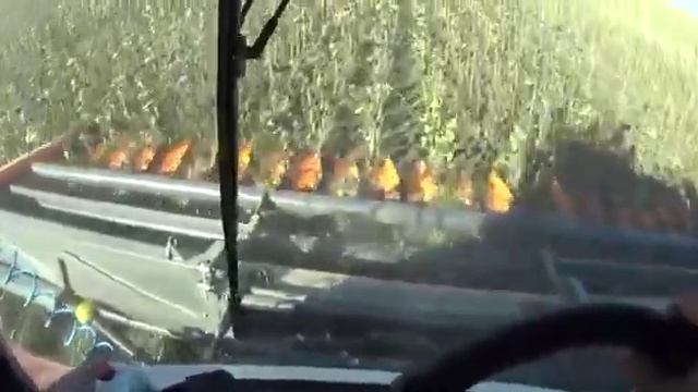 ОТЗЫВ О ЖАТКЕ ORANGE SEED от КФХ Капаев Р. А. Саратовская область, обзор НОВАЯ ТЕЛЕЖКА ДЛЯ ЖАТКИ смотреть онлайн