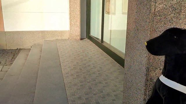 ПРИВЕТЫ И ДОБРЫЕ ПОЖЕЛАНИЯ ПОДПИСЧИКАМ И ТАНЦОРАМ ЧЕХИЯ 2022 смотреть онлайн