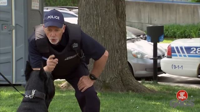 Смешные видео #132.mp4 смотреть онлайн