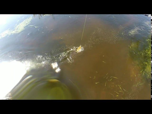 4 августа 2020 г. смотреть онлайн