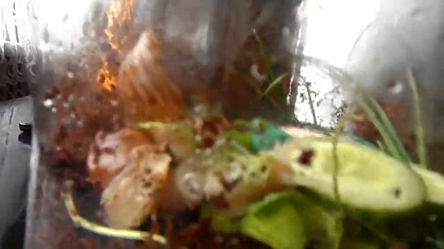 Улитка сбросила панцирь смотреть онлайн