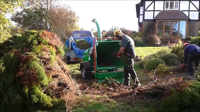 GreenMech Arborist 130 - Chipper Verses Cryptomeria 1080p