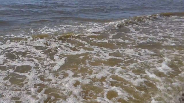 Море в Зандворте смотреть онлайн