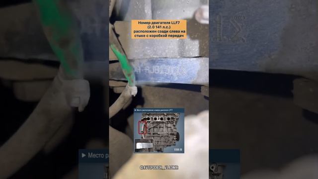 Mazda 6 GG (Мазда 6) расположение номера двигателя/ VIN номер/ маркировки #подбор #автоподбор #mazd