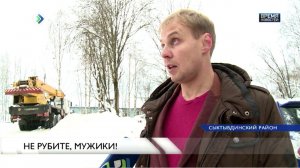Спасение ели в Выльгорте
