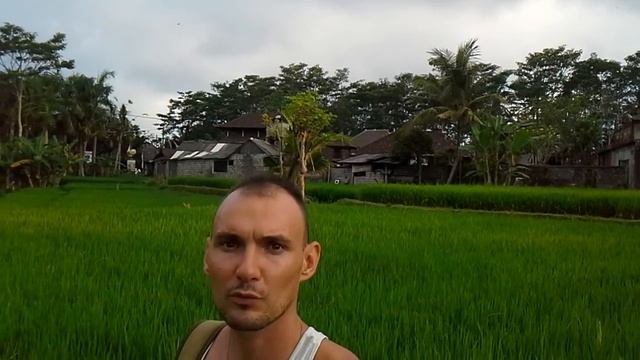 Сделаю для вас сайт на движке Word Press (Для портфолио + получите классный сайт) смотреть онлайн