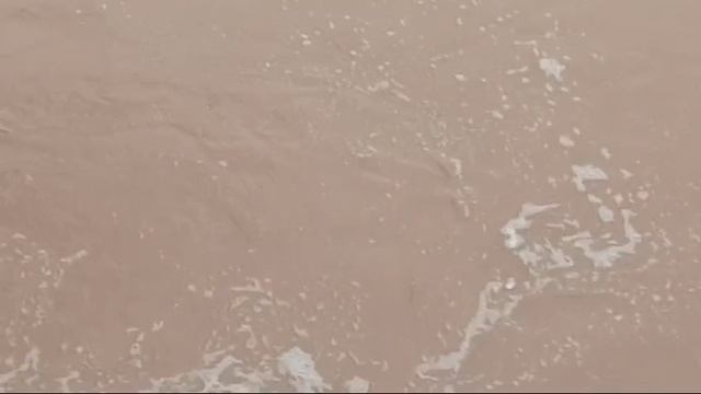 Травят реку Сходня. 17.03.2024 смотреть онлайн