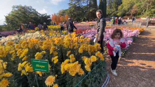 Пошли на бал хризантем и потерялись в Зеленом лабиринте смотреть онлайн