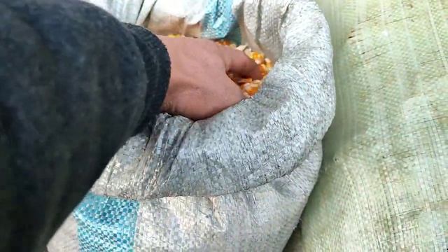 НАРХИ КУНЧОРА ГАНДУМ ЧАВ САБУС ЧУГОРИ ОРДИ ЧУГОРИ ДАР Ш. ХИСОР смотреть онлайн