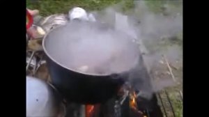 тушёный бобер с картошкой