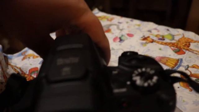 Моя новая камера Canon PowerShot SX 70 HS обзор купил камеру за 72 900р смотреть онлайн