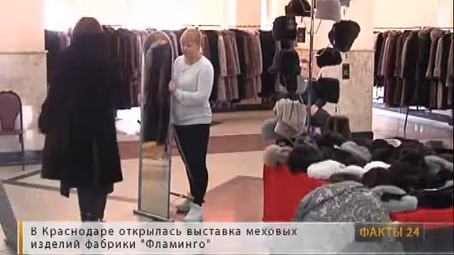 В Краснодаре открылась меховая выставка фабрики «Фламинго» смотреть онлайн
