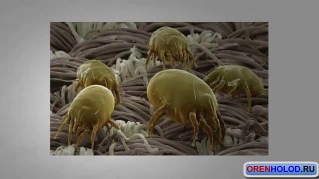 ЧТО ПРОИЗОЙДЕТ ЕСЛИ НЕ ЧИСТИТЬ КОНДИЦИОНЕР? смотреть онлайн