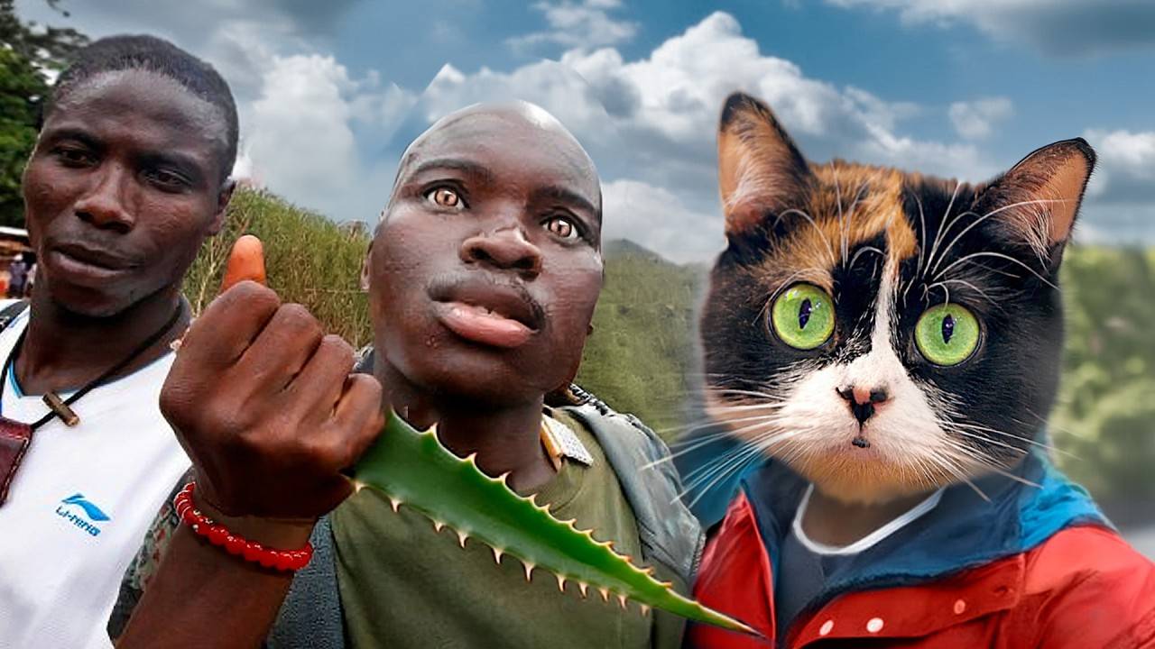 Африканец прикинулся добряком, но потом показал свое истинное лицо