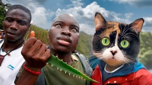 Африканец прикинулся добряком, но потом показал свое истинное лицо