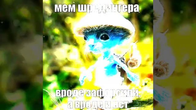 Pitufo шайлушай 😱 смотреть онлайн