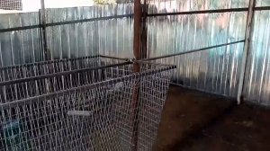 Вольер для кроликов от А до Я своими руками. Сенник, кормушки и поилки.