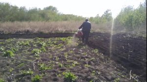 Мотоблок brait 135GD 17л.с.

с плугом