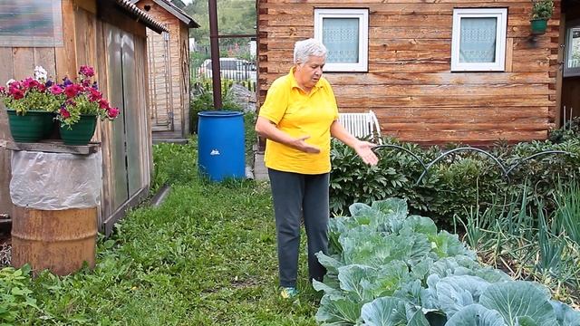 192 Блошка крестоцветная. смотреть онлайн