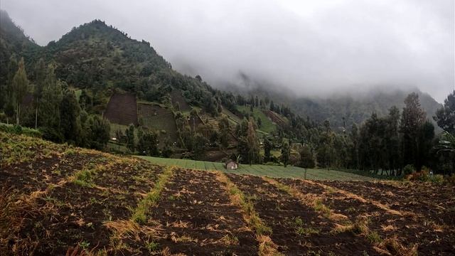 Aug. 2022 - East Java (Bromo, Ijen & Waterfalls) - Indonesia смотреть онлайн
