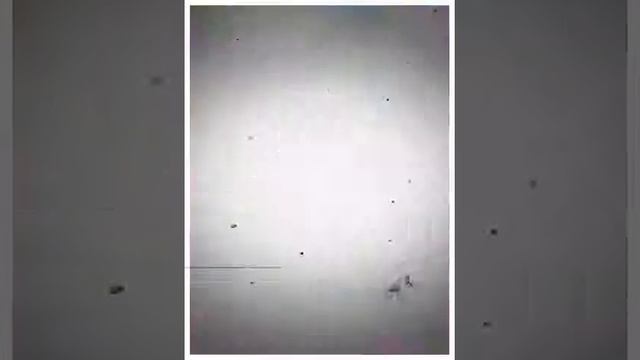 ЭГОИСТКА ЛЮБИТЕ СЕБЯ И ДРУГ ДРУГА (Created with @Magisto) смотреть онлайн