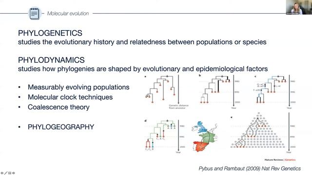 Human Mobility & HIV Workshop - May 24, 2021 смотреть онлайн