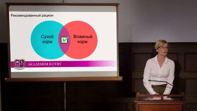 Чем кормить котенка — Как и что едят котята Сколько и как часто Академия котят смотреть онлайн