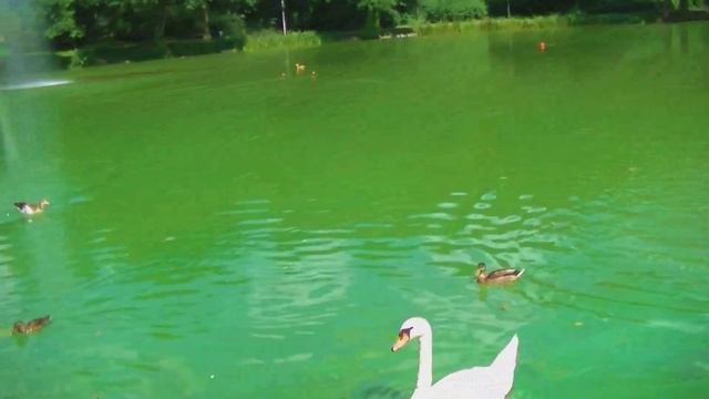 Saarbrücken (Saarland, Germany) Rundgang смотреть онлайн